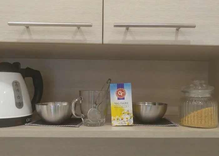 Modern Center Daire Sofya